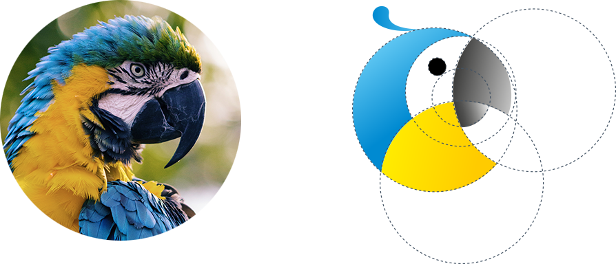 Vergleich Papagei mit Do It Digital Consulting GmbH Logo