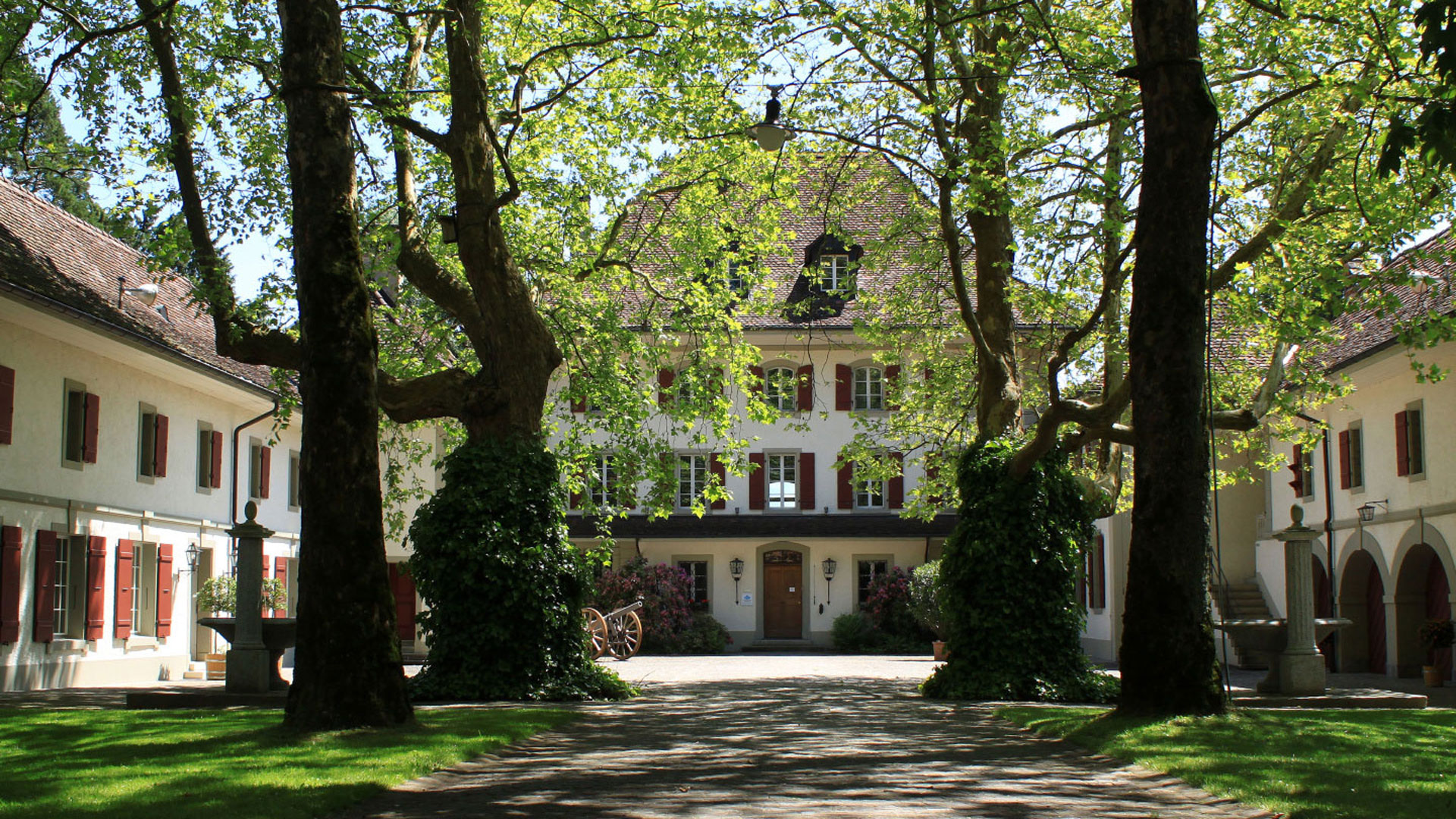 Study Center Gerzensee: TYPO3, Webentwicklung, Webdesign